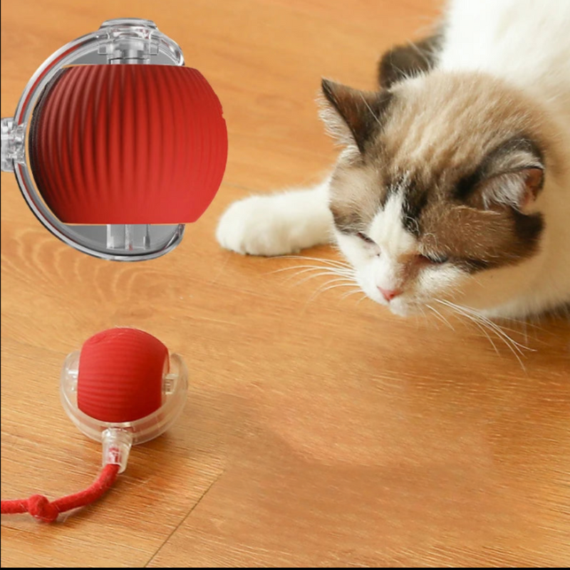 Brinquedo Interativo para Gatos – Diversão Inteligente e Silenciosa!