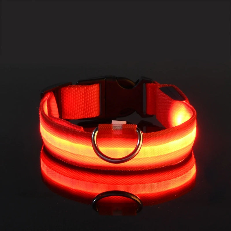 Nylon led noite segurança piscando brilho no escuro trela do cão cães luminoso fluorescente coleira do cão de estimação