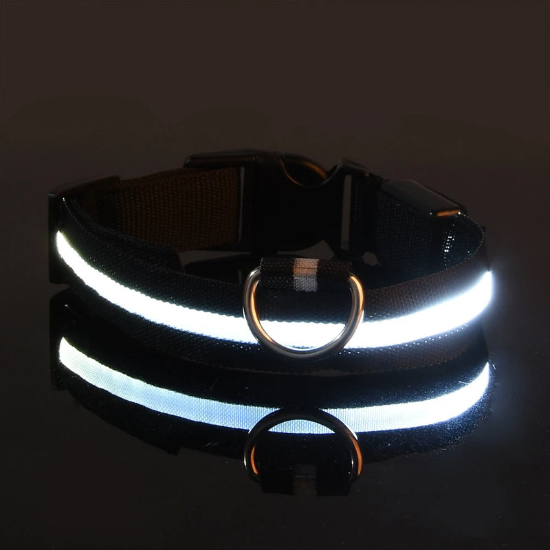 Nylon led noite segurança piscando brilho no escuro trela do cão cães luminoso fluorescente coleira do cão de estimação