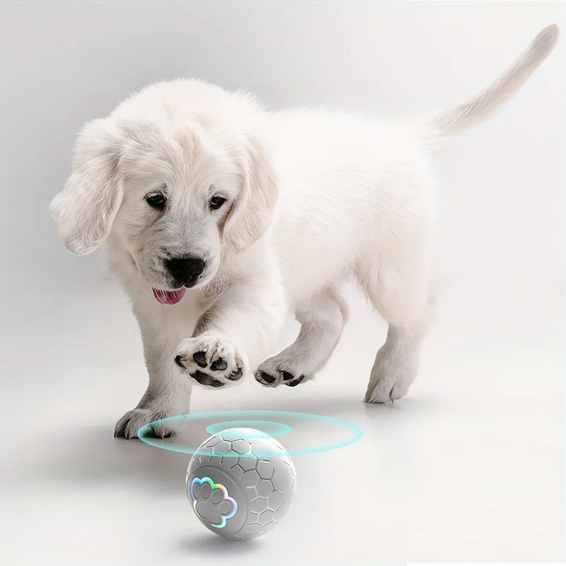 Bola de brinquedo para cachorro inteligente, bola eletrônica interativa para animais de estimação, usb, bola de brinquedo automática com luzes rgb, produto para cachorro e gato