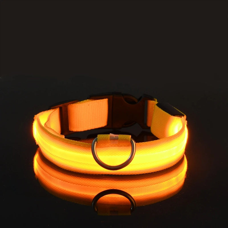 Nylon led noite segurança piscando brilho no escuro trela do cão cães luminoso fluorescente coleira do cão de estimação