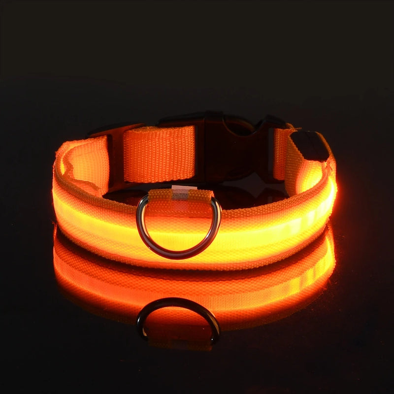 Nylon led noite segurança piscando brilho no escuro trela do cão cães luminoso fluorescente coleira do cão de estimação