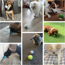 Bola de brinquedo para cachorro inteligente, bola eletrônica interativa para animais de estimação, usb, bola de brinquedo automática com luzes rgb, produto para cachorro e gato