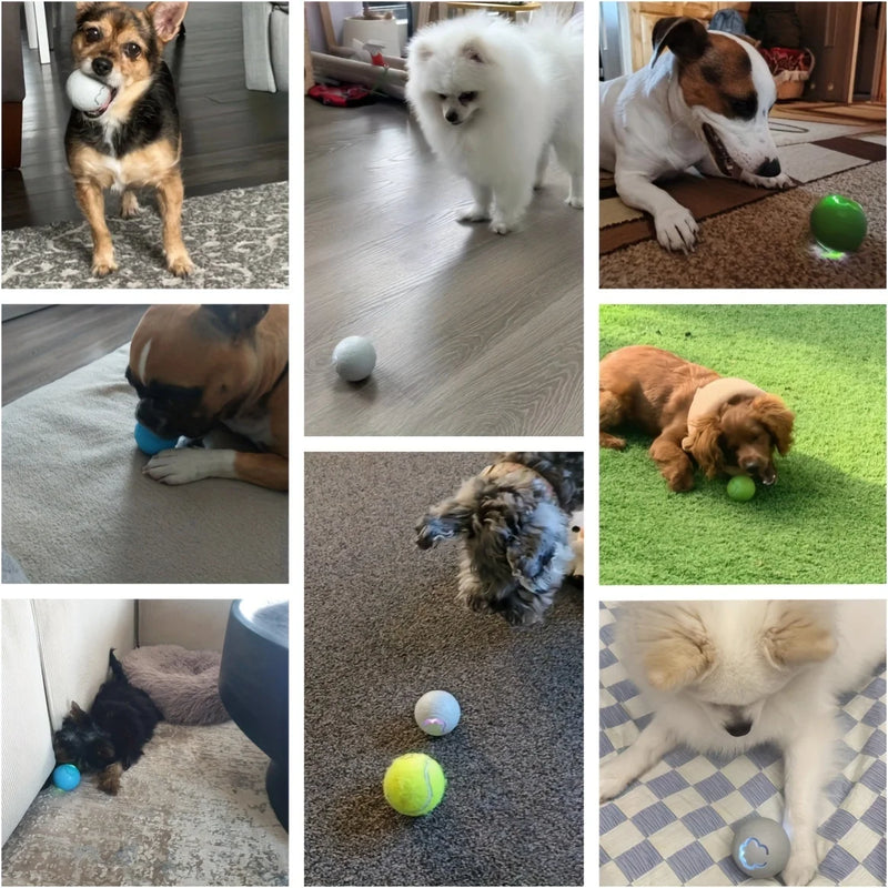 Bola de brinquedo para cachorro inteligente, bola eletrônica interativa para animais de estimação, usb, bola de brinquedo automática com luzes rgb, produto para cachorro e gato