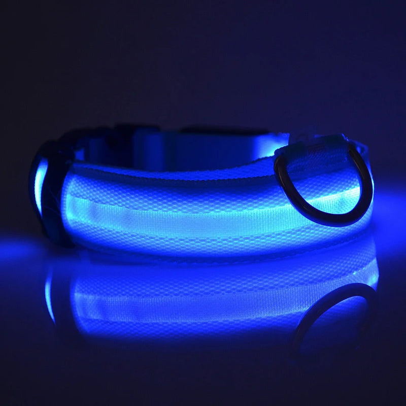 Nylon led noite segurança piscando brilho no escuro trela do cão cães luminoso fluorescente coleira do cão de estimação