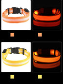 Nylon led noite segurança piscando brilho no escuro trela do cão cães luminoso fluorescente coleira do cão de estimação