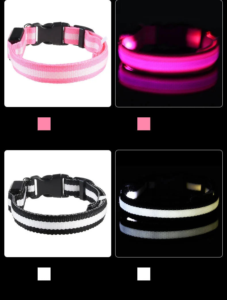 Nylon led noite segurança piscando brilho no escuro trela do cão cães luminoso fluorescente coleira do cão de estimação
